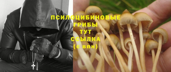 прущий лед Инта