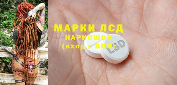 spice Инсар